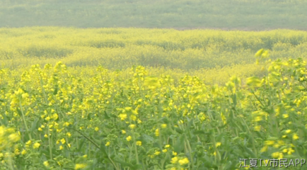 �_�����Ͳ˿ƌWʩ�ʿ��������a