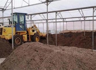 ��������Щ������