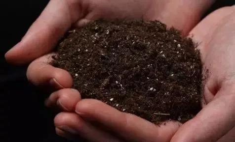 �������涼�С�����������Ч�܅�����