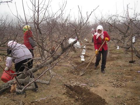 ����y���䷽ƽ��ʩ��ע�����