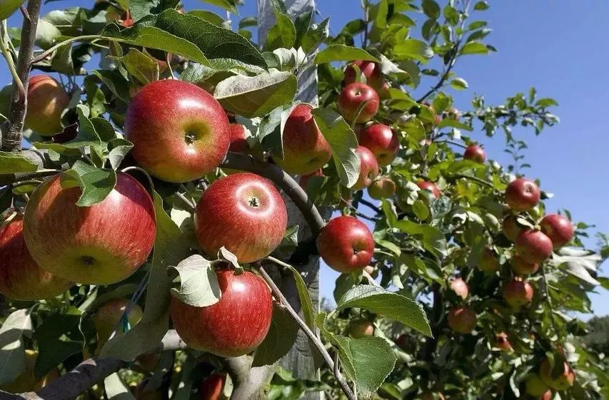 ����ȫ�����ӛס4��Ԓ���Q��һ����ճɣ�