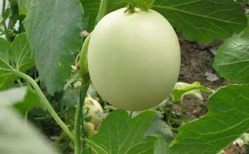 ������ʩ������