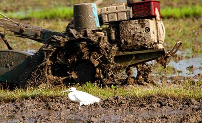 ������ôʩ��⛷ʣ�����ʩ��⛷ʵļ��g