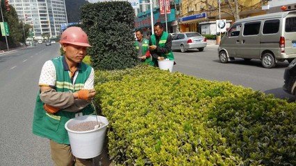 �����G����ľʩ��ע�����(xi��ng)