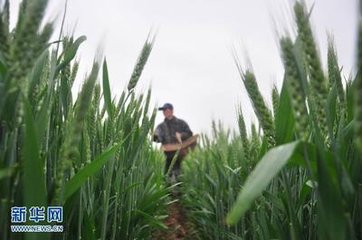 ������^ ʩ�ʸ��Ђ���