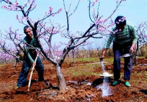 ��������(sh��)׷�ʝ�ˮ�������g(sh��)