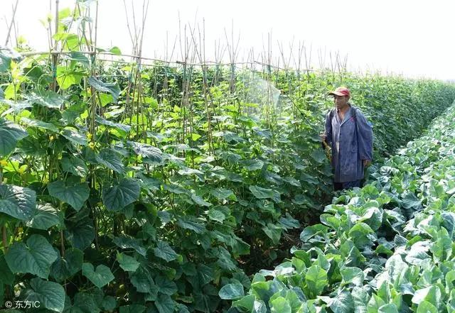 �~��ʿƌW(xu��)ʩ�õ�12�N��������ʩ�rҪ��˶���