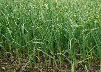 �������ʩ�ʲ��ܸ߮a������߮aʩ�ʼ��g