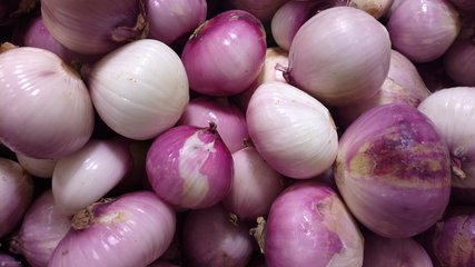 ���������[�ķ��������ʣ�