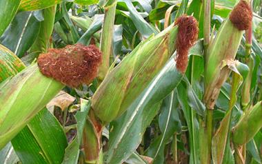 �����������ʩ�ʣ���������ʩ�ʼ��g(sh��)