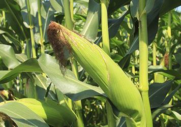 ��������οƌW׷ʩ��ʣ�������׷ʩ��ʼ��g(sh��)