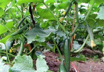 �S��׷����Ҫע����Щ���}��