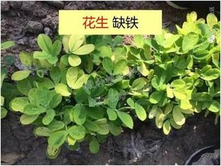 ����ȱ�F��ô�k�������a�F���g