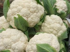 �˻����ʩ�����˻�ʩ�ʼ��g