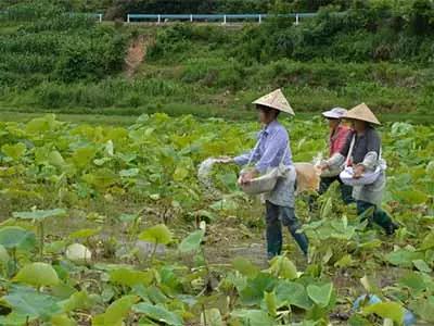 ���裺�@��ʻ������ͷ�Ч��