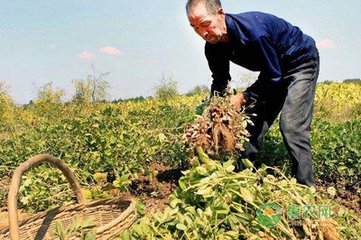 �����߮a(ch��n)ʩ�����E�[