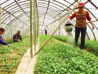 �߲����ʩ�ʲ��ܸ߮a���߲�ʩ�ʵļ���