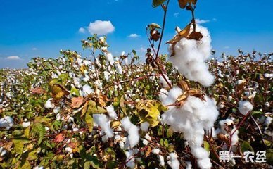 �޻����׷�ʣ��޻�׷�ʼ��g