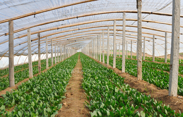 �����߲�ʩ����Ҫע��ʲô�������߲�ʩ��ע�����