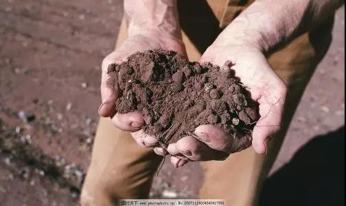 �����ЙC�ʵ����в��У�