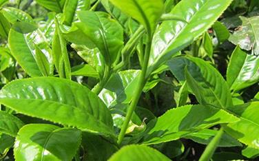 ���(sh��)��οƌW(xu��)ʩ�ʣ����(sh��)�ƌW(xu��)ʩ�ʵķ���