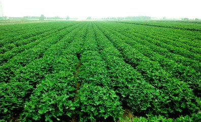 ����Ч�����M�����⣿�@Щ���ǡ�͵���߷��ϵġ��惴����