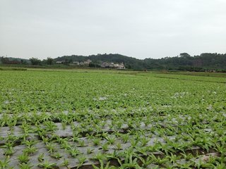 ΢���������ôʩ�ã�