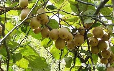 �J������οƌW(xu��)ʩ�ʣ�