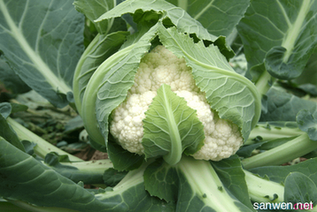 �˻����ʩ�ʣ�