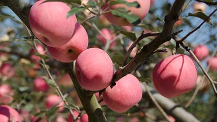 �������O�����ϵ������ʣ��O��ʩ�ʼ���