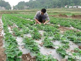 ���������ʩ�ʣ�