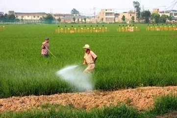 �~�������Щ���c���~��ʵ����c