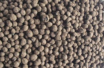 ��ֲ����ʲô��������ֲ�������