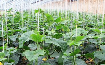 �����߲�ʩ����Ҫע��ʲô�������߲�ʩ��ע�����