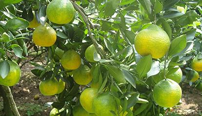 ע���ˣ��@Щ���䲻�ܻ��ԣ�