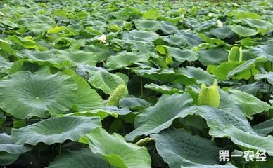 ɏźʩ����Ҫע����Щ���