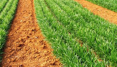 ����С����ôʩ�ʣ�����С����ʩ�ʷ���