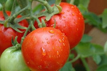 ���t����ôʩ���~��ʣ����t��ʩ���~��ʵķ���