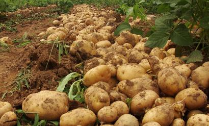 ��ô�ƌWʩ�ʲ��ܴ_���R����߮a��