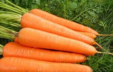 ���}����ʩ�÷��ϵĕr������Щ���ɣ�