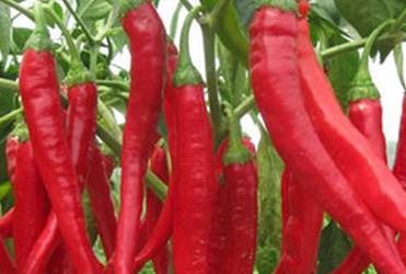 ����ʩ�ʲ��ܴ_�������߮a��