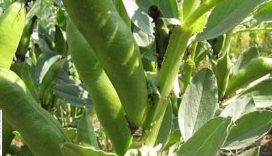 �Q��ȱ⛵�ԭ������Щ?