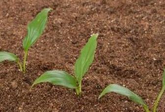 ����ʩ��ע����Ҫ�c