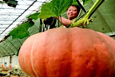 �Ϲ�ʩ�ʼ��g�c������c��