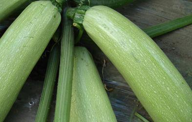 ���ʩ�ʱ��������J���磿