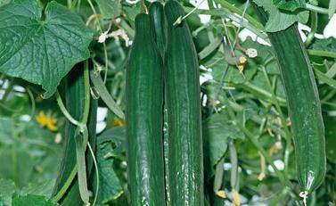 �ķ��úÿɱ��҃�(n��i)�S�ϴ��S��