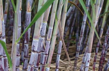 ���r(sh��)ʩ�������ɝM���������