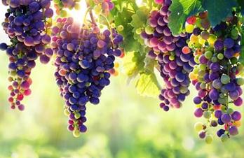 ���ѓQ������ʩ�÷��ϣ�