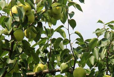 ����ʩ�����ļɣ��㷸�ˆ᣿