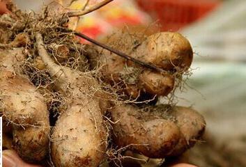 ��ô�ƌWʩ�ʲ��ܴ_���R����߮a��